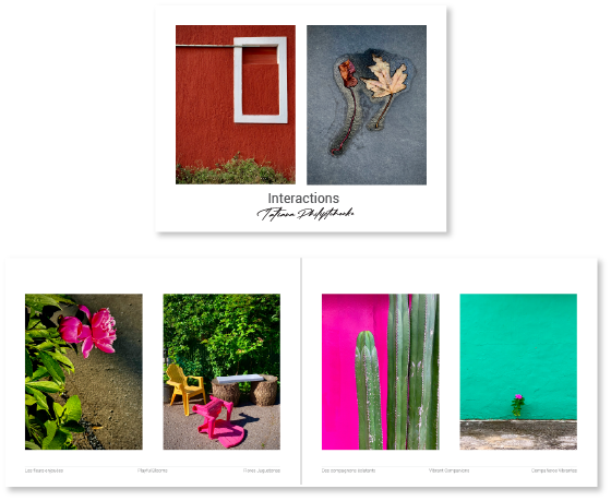 livre photo