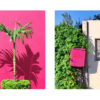 Pink Waves towards Greenery
