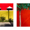 Vivid Contrasts